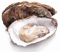 TALABA